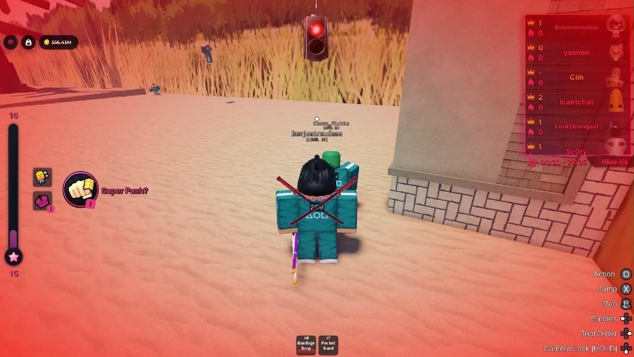 Roblox_20260221131221
