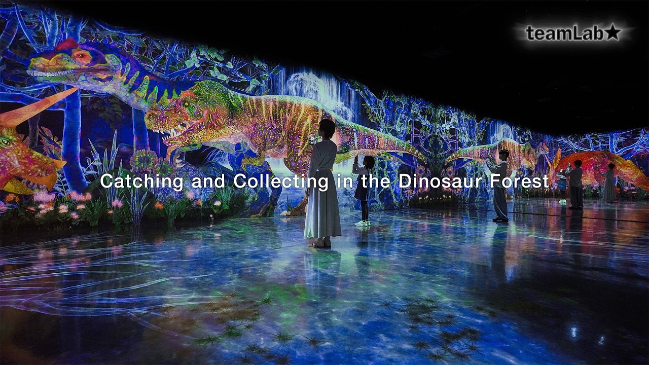 Catching and Collecting in the Dinosaur Forest