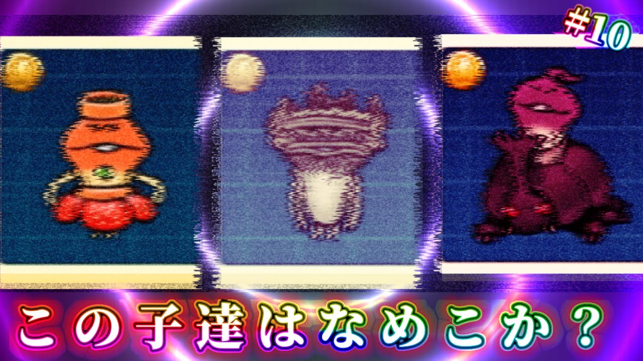 【なめこ栽培】#10- コイツらは本当になめこか？しっかりと紹介します。 【なめこ栽培キットDX極】
