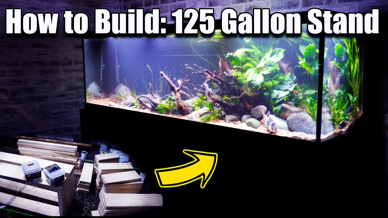 How to Build a 125 Gallon Aquarium Stand and SAVE TONS of MONEY!