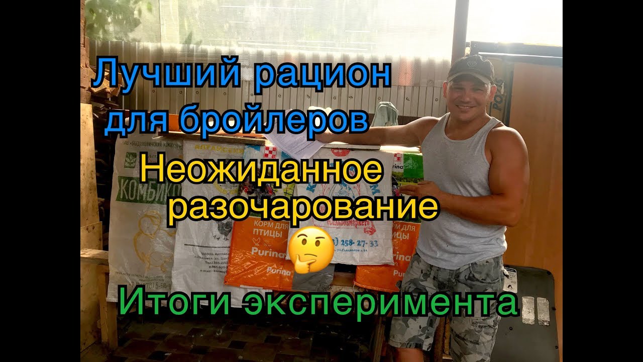 Какой комбикорм для бройлеров лучше .Победитель.Итоги эксперимента. Часть5
