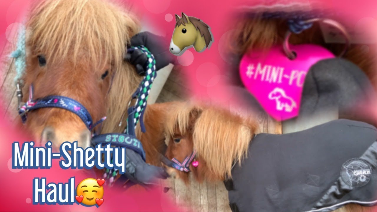 HAUL für mein NEUES PONY + ABHOLUNG und ÜBUNGSEINBLICKE!!