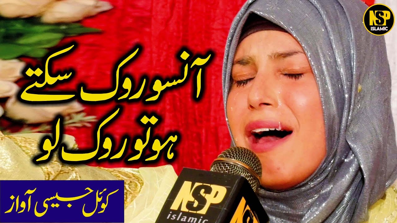 Mujhe Bheek Mil Rahi Hai || Naat Sharif || Amina Munir || Nsp Islamic Official