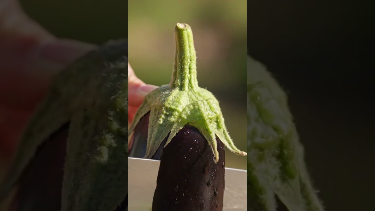 Eggplants Rotting? Here is the SOLUTION! | Garden Tips #советысадоводу #garden #садоводничество