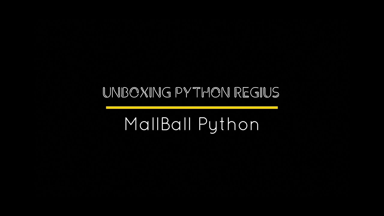 Unboxing Python regius od MallBall Python