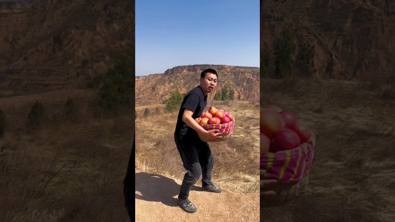 He threw away the good apples 🍎🍎 | Delicious red apple harvest from Farm by Rural Farmer #apple