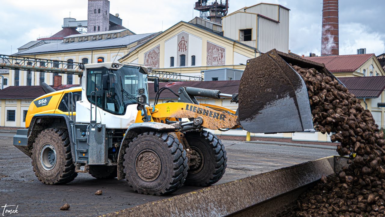 Řepná Kampaň 2025 | Obsluhujeme Nakladač Liebherr 556 XPower | 360 Kamera
