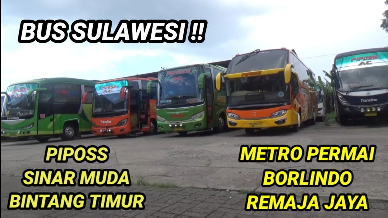 Bus Sulawesi 2020