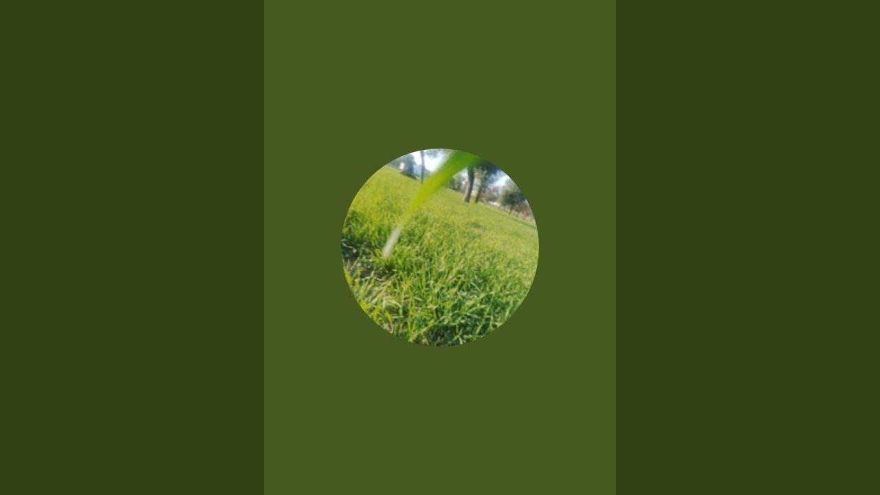 Bhartpur ki छोरी  is live