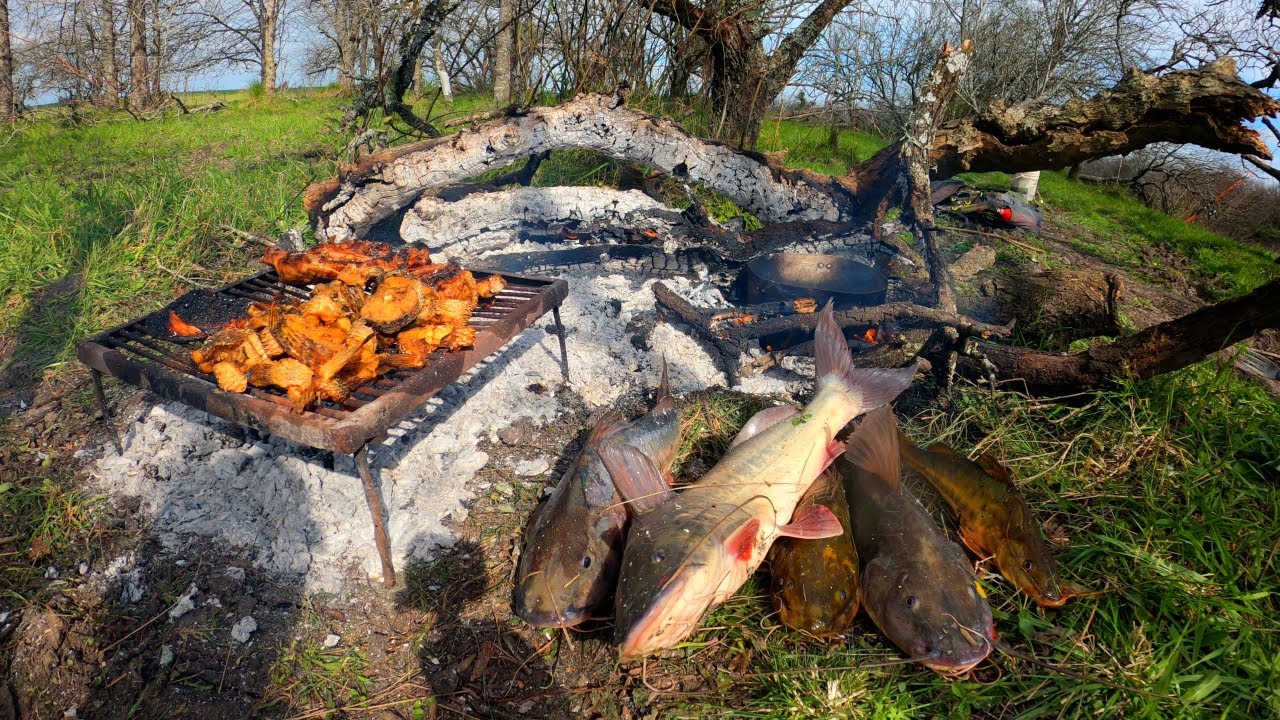 Pesca y Cocina en Arroyo Las Moscas, Fritanga de Bagres Moncholos y Aventura con Suscriptores