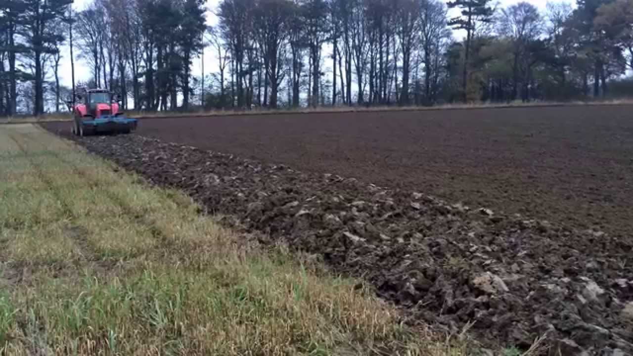 MF 3670 ploughing and MF 7495 drilling