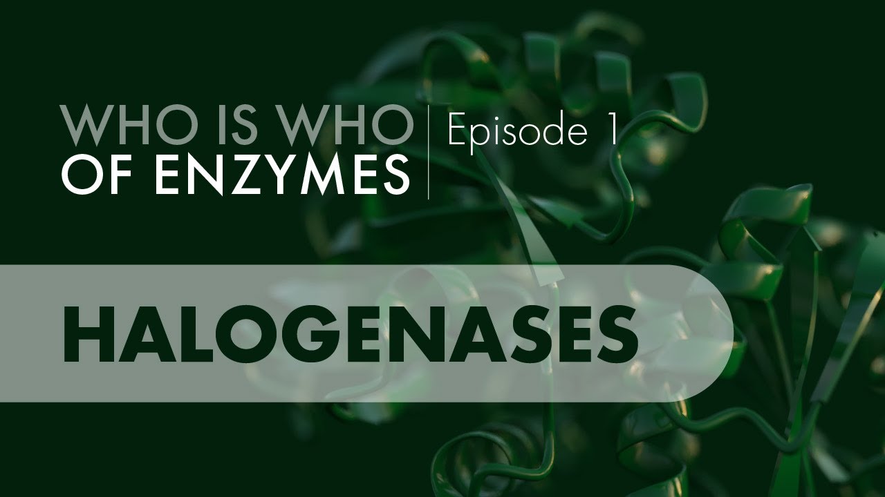 Who Is Who of Enzymes: Halogenases