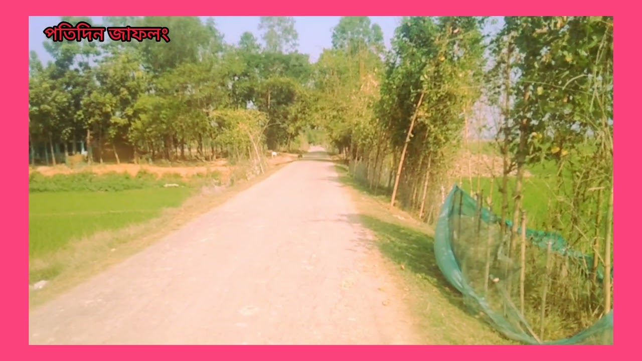 গ্রাম বাংলার ভিডিও দেখতে কেউ মিস করবেন না 