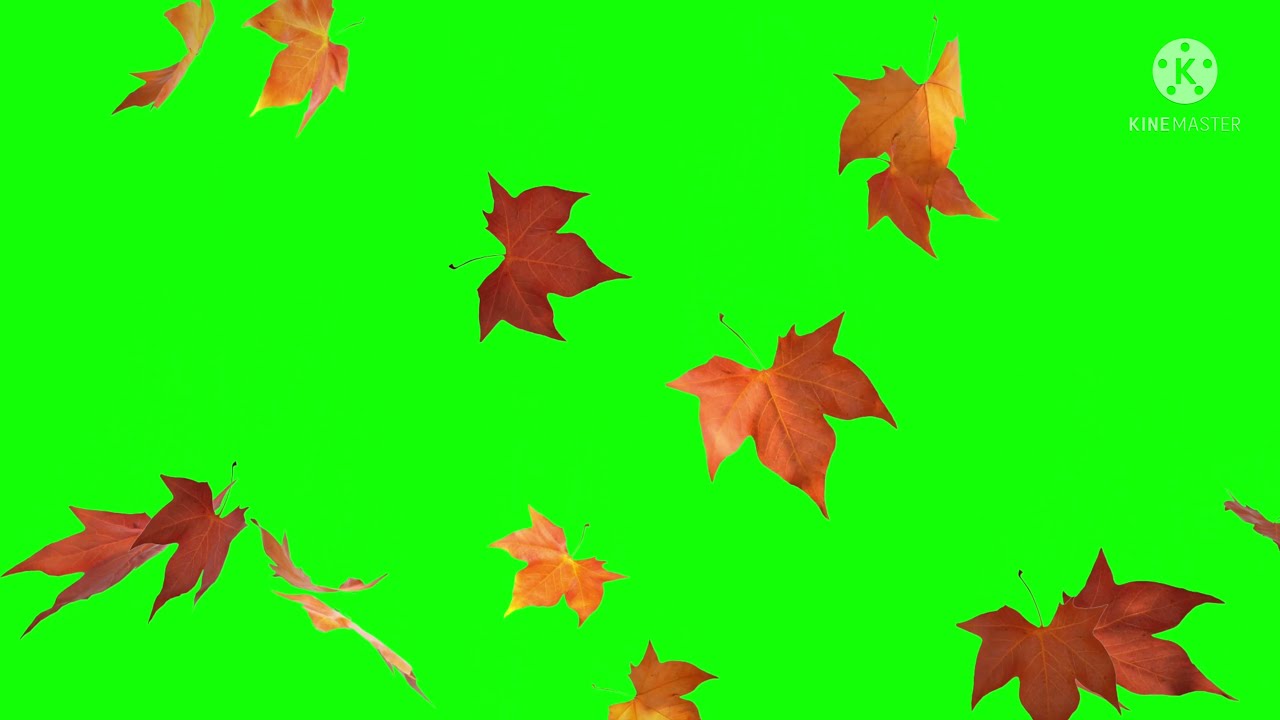 Efectos geniales para tus videos de Oto&ntilde;o!!