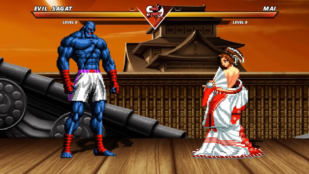 Top 5 EVIL SAGAT Battles - Amazing epic fight battle !