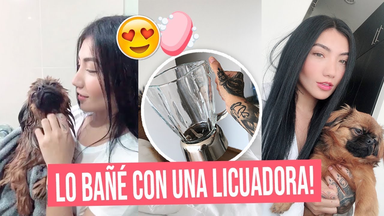 BAÑANDO A MI PERRO POR PRIMERA VEZ PASO A PASO - NICOLE AMADO Ft Damon Sky