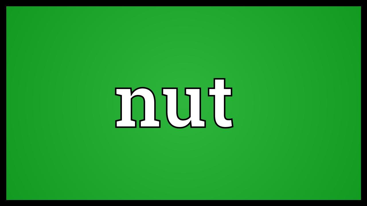Nut Meaning