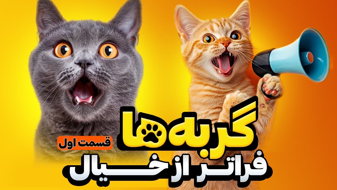 شگفتی‌های علمی گربه‌ها قسمت 1 - دنیا از چشم گربه ها چگونه است؟