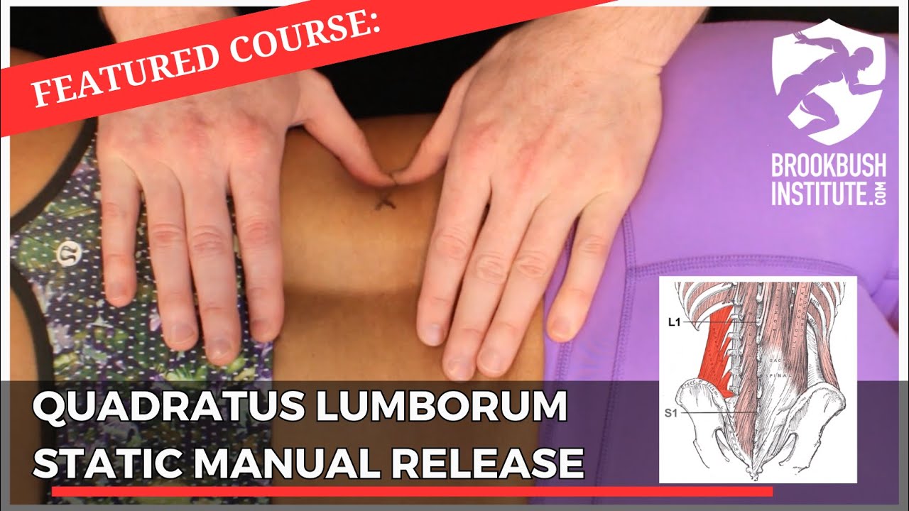 Статический ручной релиз Quadratus Lumborum