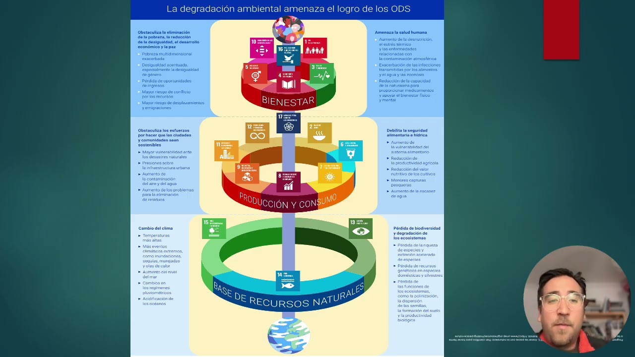 Ganadería regenerativa y sistemeas regenerativos_M3_U1_1A