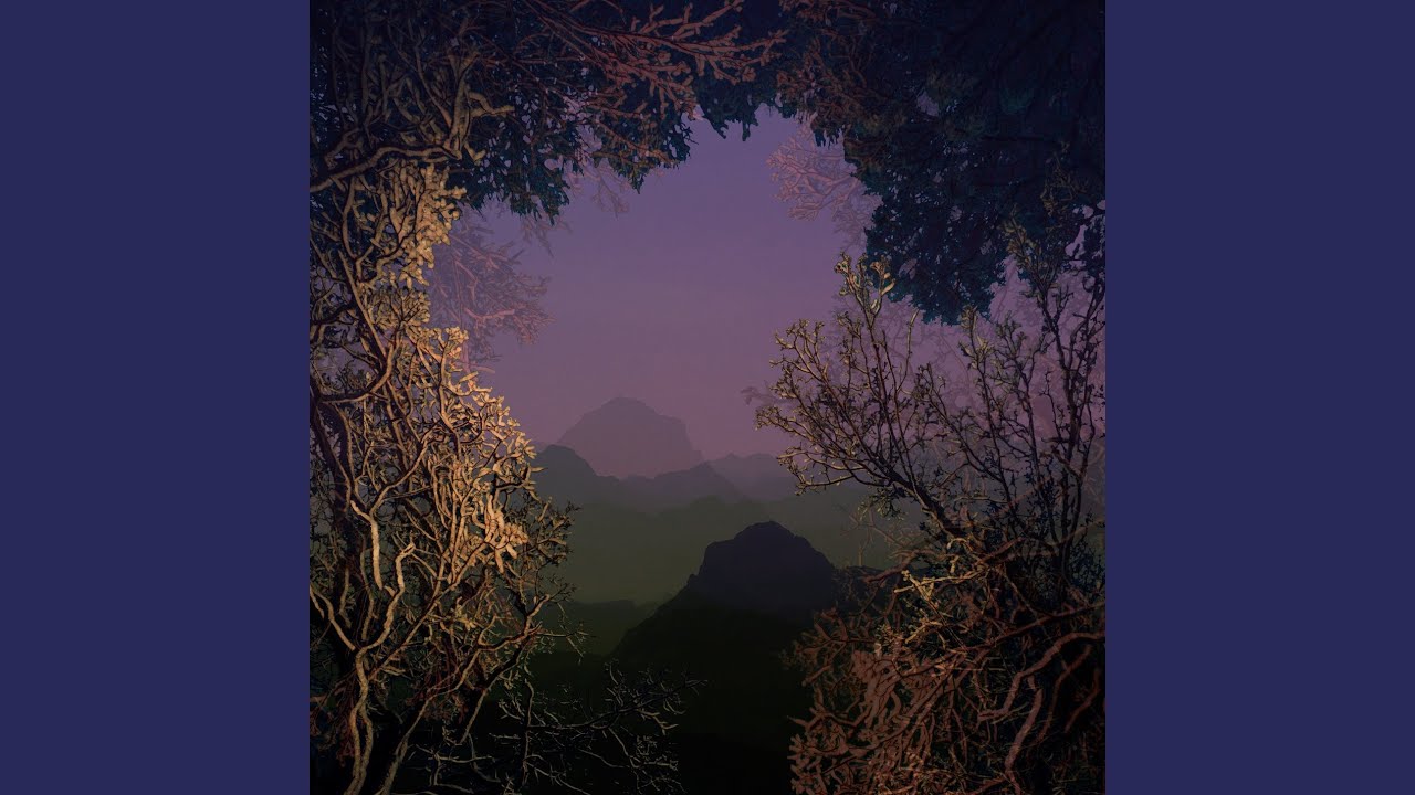 Tête Sage (Sahalé in the forest Remix)