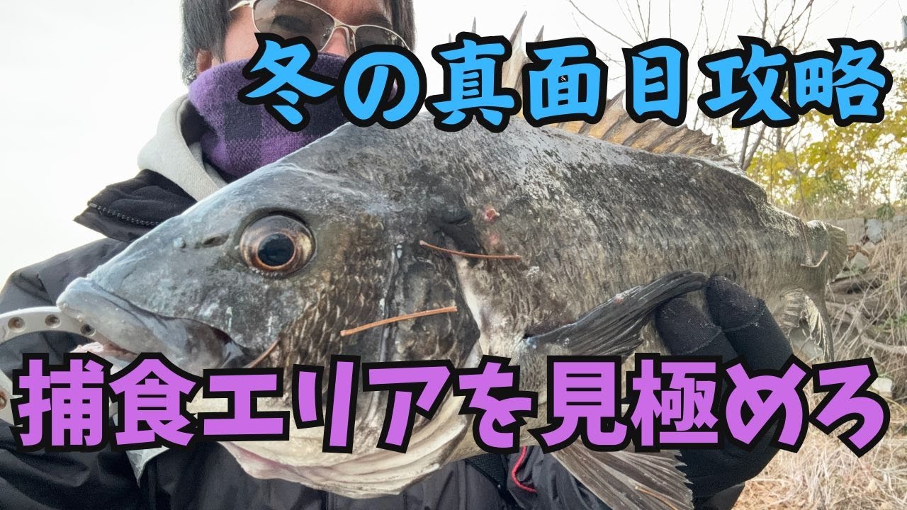 【チニング】ゼロチヌ　season3 　冬の真面目攻略　後編　フィーディングエリアを見極めろ【チヌ】