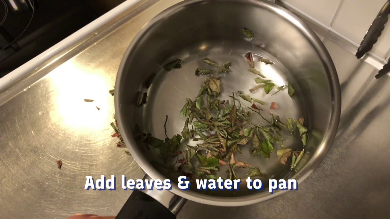 How to make blueberry leaf tea