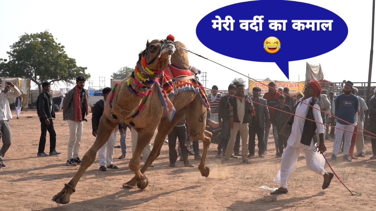देखिए ऊट वाले की वर्दी का कमाल पुलिस वालों की वर्दी से भी ज्यादा धमाल || नागौर मेला