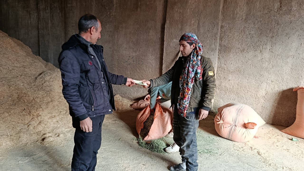Buying sheep food for the winter/Real experience