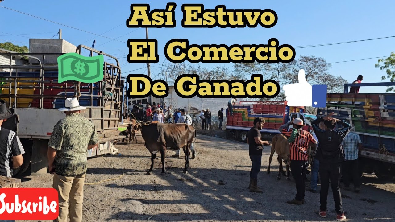 Tiangue de Santa Rosa de Lima La Unión El Salvador 