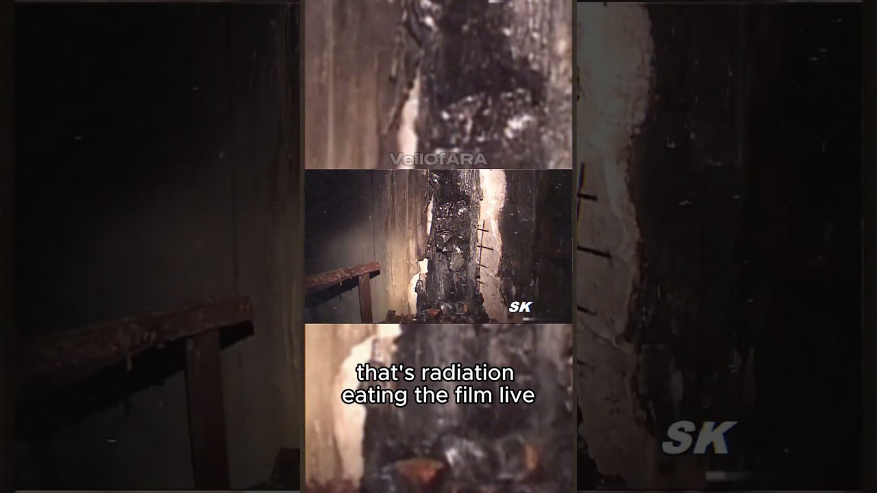 The Man Who Entered Reactor 4 After It Exploded