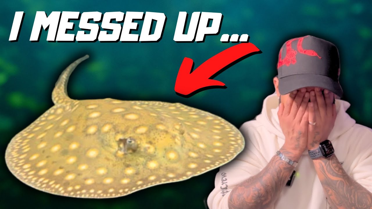 I Made a Huge Mistake With My Stingray...