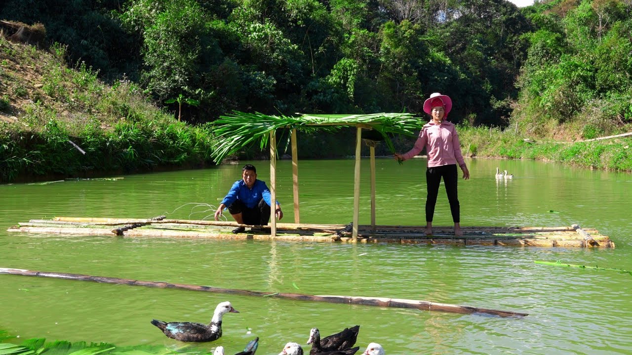 Building Bamboo Rafts with Palm Leaf Roofs, Caring for Livestock on the Farm | Family Farm 