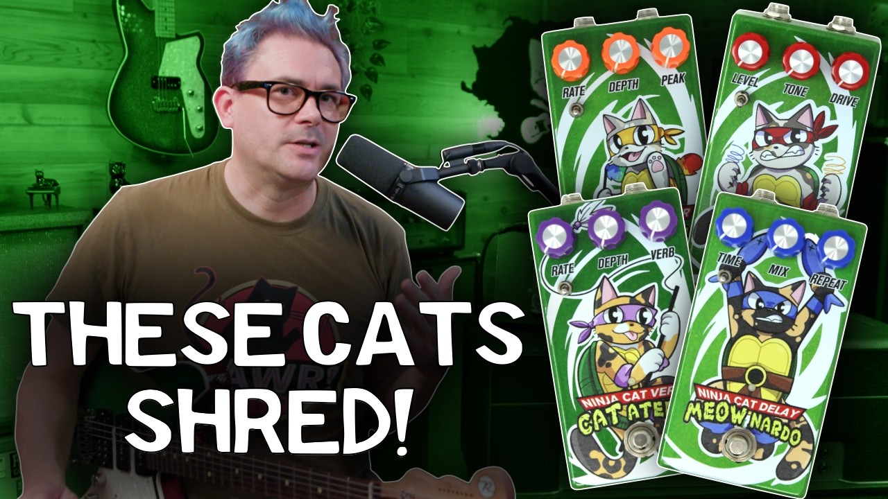 Педали Ninja Cat уже здесь! 🐾 Демонстрация звука из музыкального магазина Александра x B + первый...