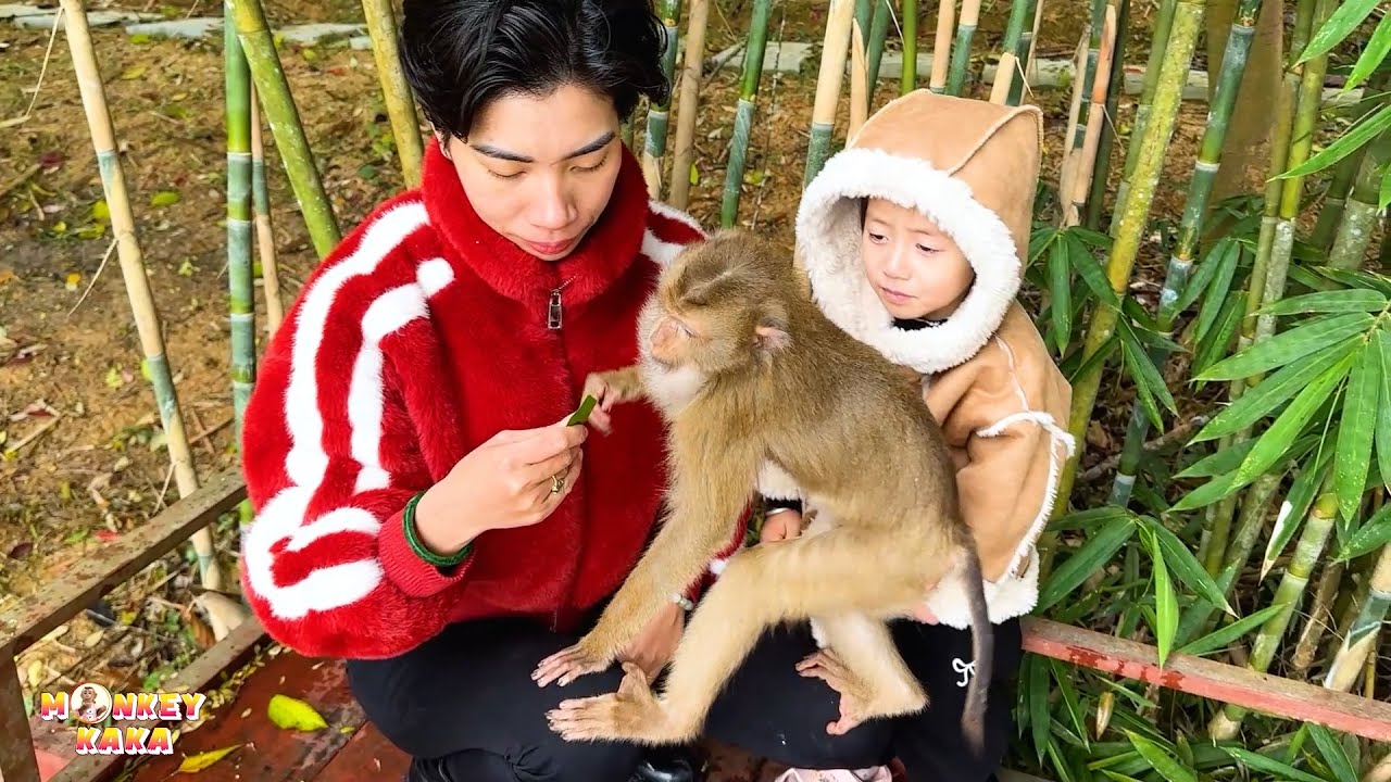 Sweet moments of Monkey Kaka with Diem and Quynh