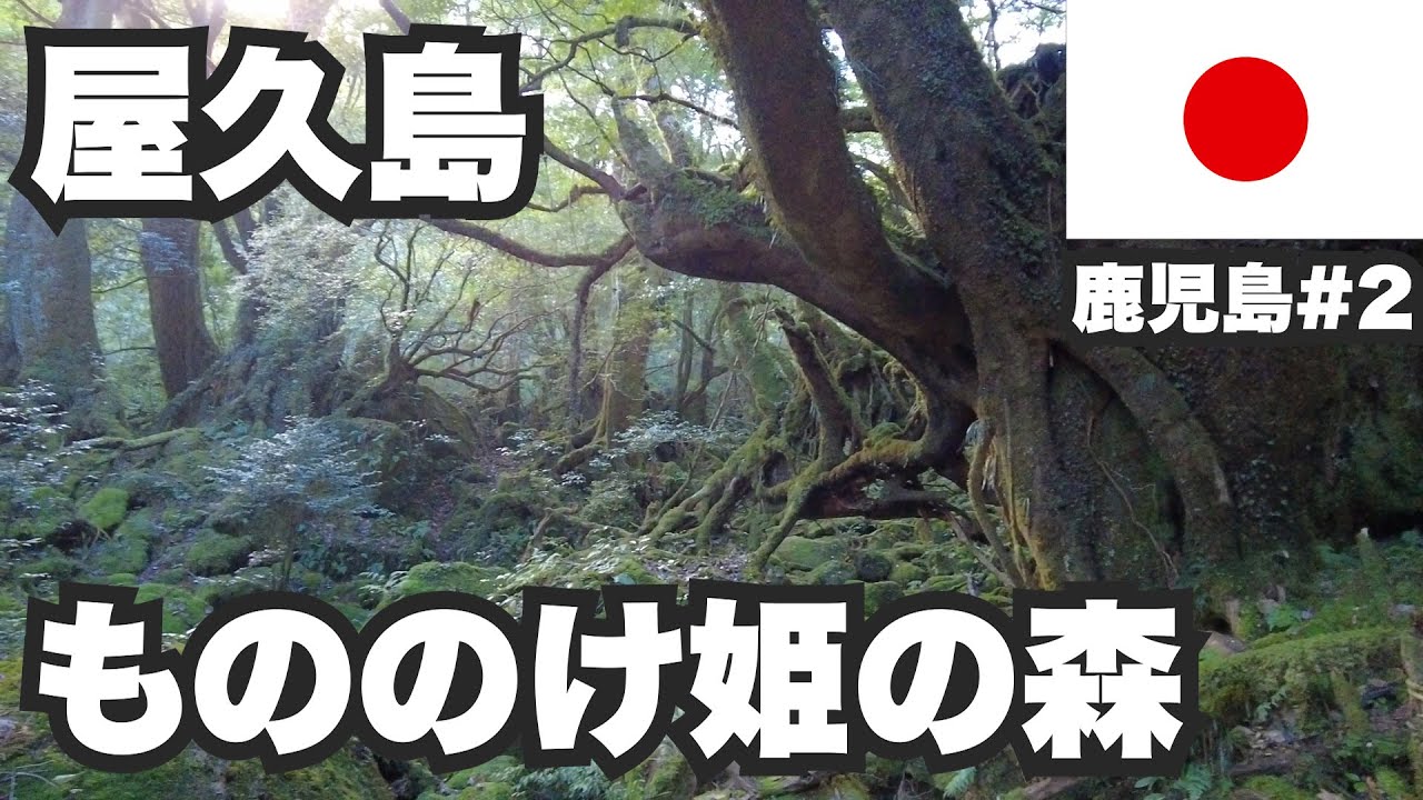 屋久島31歳ひとり旅。もののけ姫の舞台、白谷雲水峡【鹿児島#2】