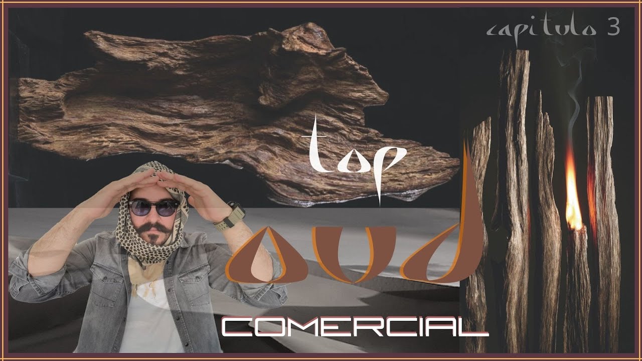 | TOP Perfumes Comerciales OUD | My Scent Journey