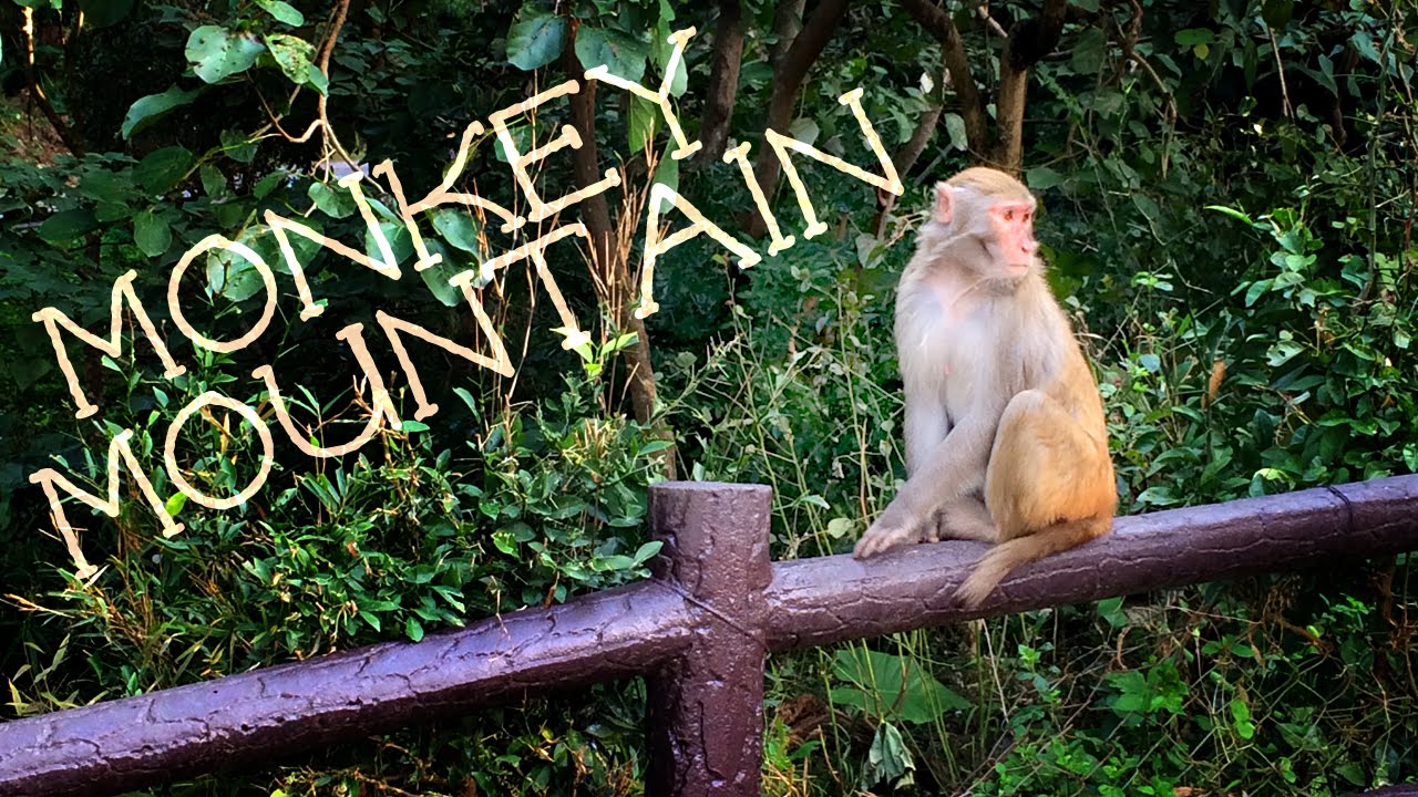 Monkey Mountain Hike - Hong Kong (GGH)