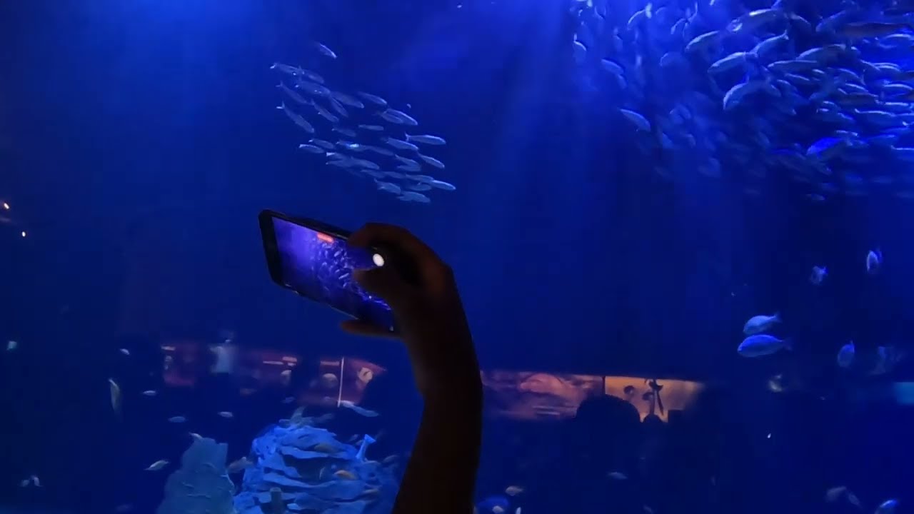 oceanografic part 2