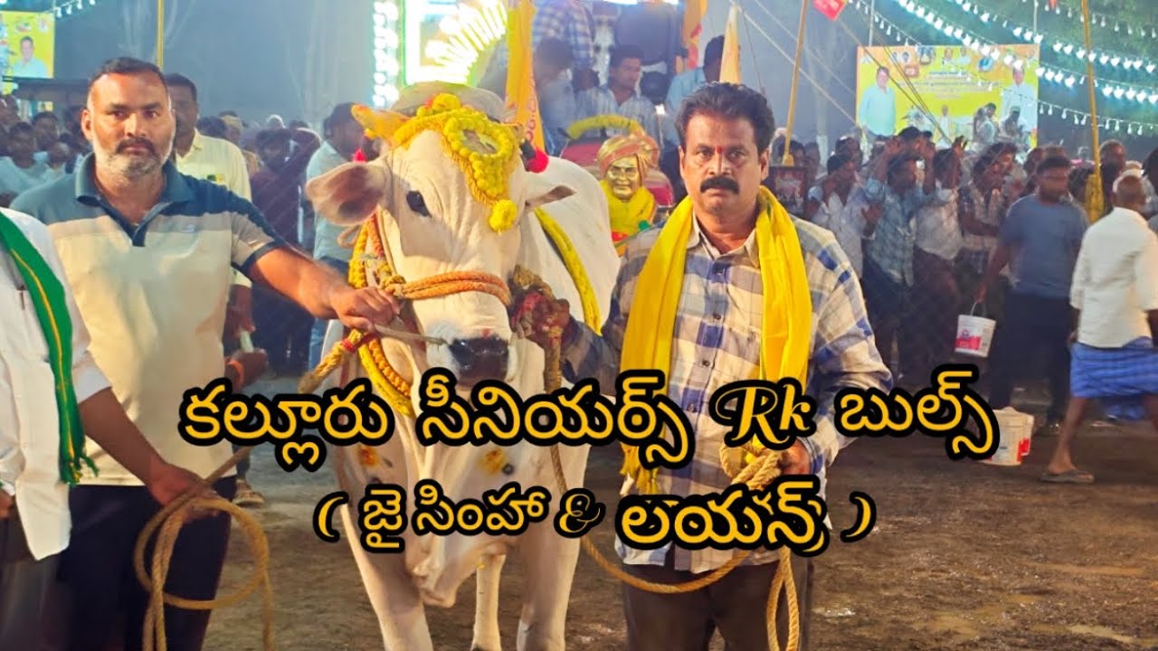 కల్లూరు సీనియర్స్ విభాగం 2 వ జత