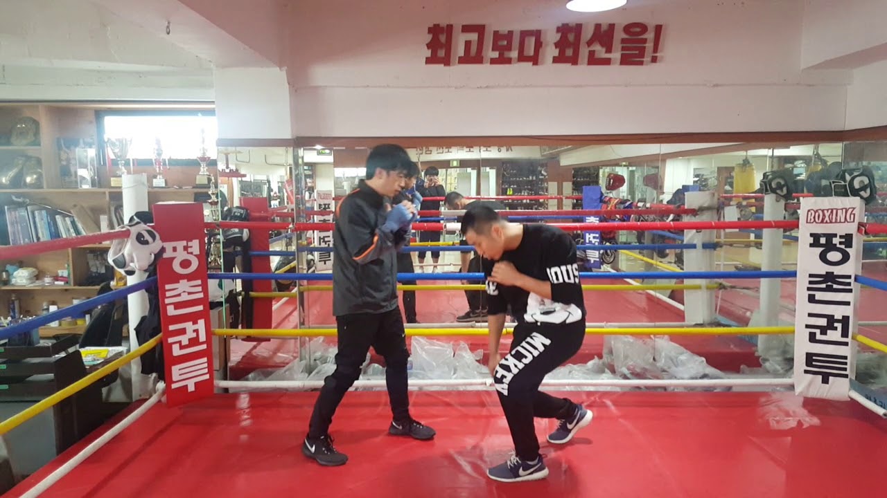 슬리핑 더킹 차이점