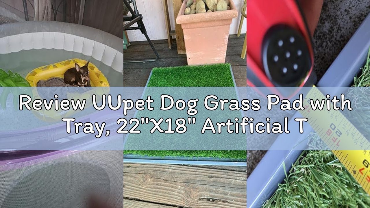 Review UUpet Dog Grass Pad with Tray, 22''X18'' Artificial Turf Grass Potty, 2-Pack Reusable Puppy P