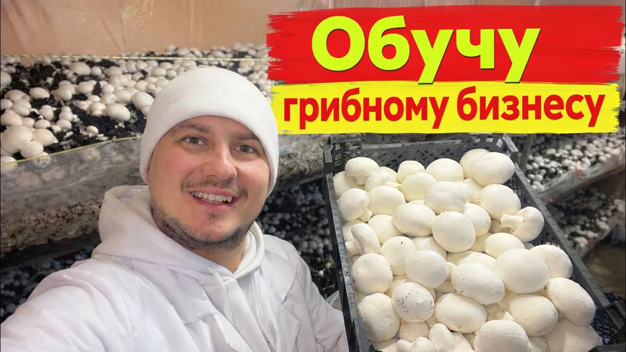ГРИБНОЙ БИЗНЕС | ОБУЧАЮ КАК