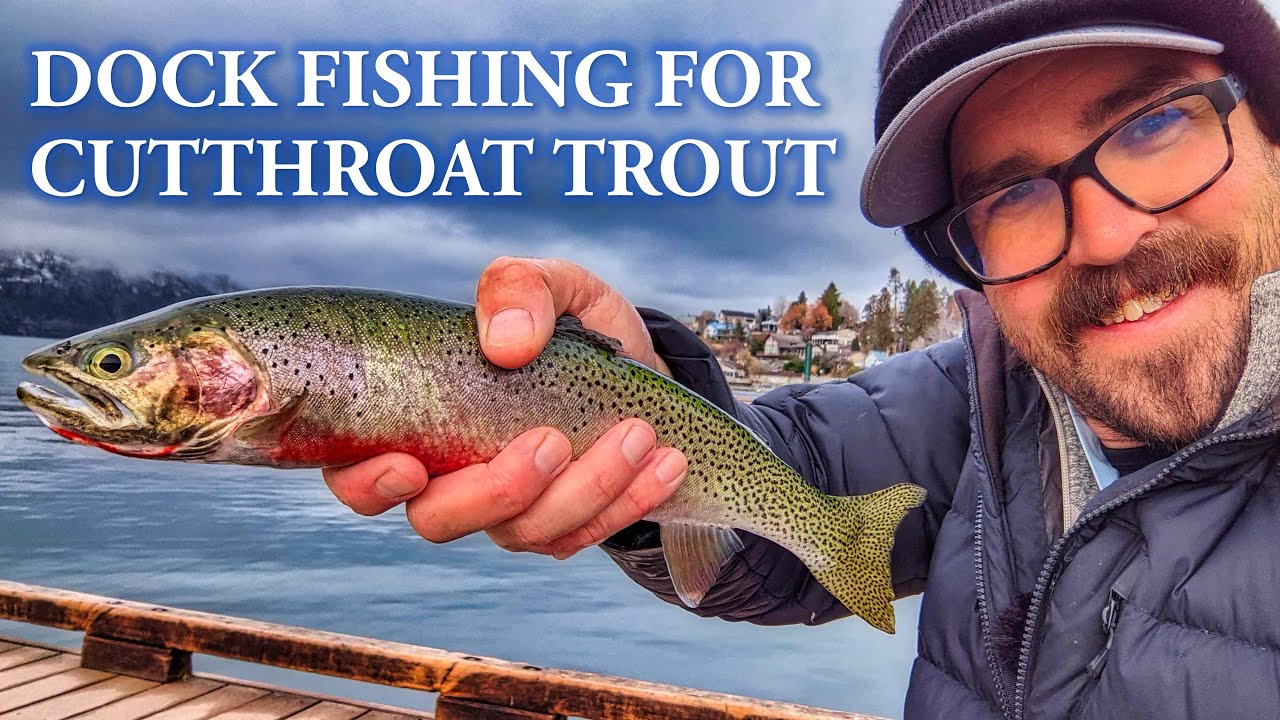 Dock Fishing for Cutthroat Trout [Lake Chelan]