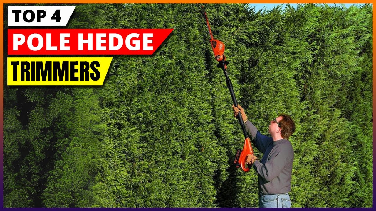 Best Pole Hedge Trimmers 2026 – Top 4 Picks for Easy & Precise Trimming