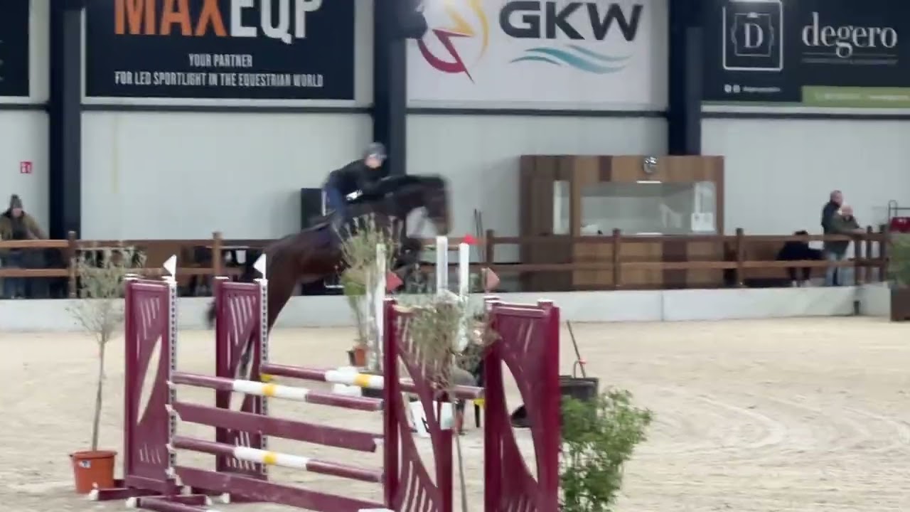 BILLY BOBBY BROWN LH Z - training show 1.20