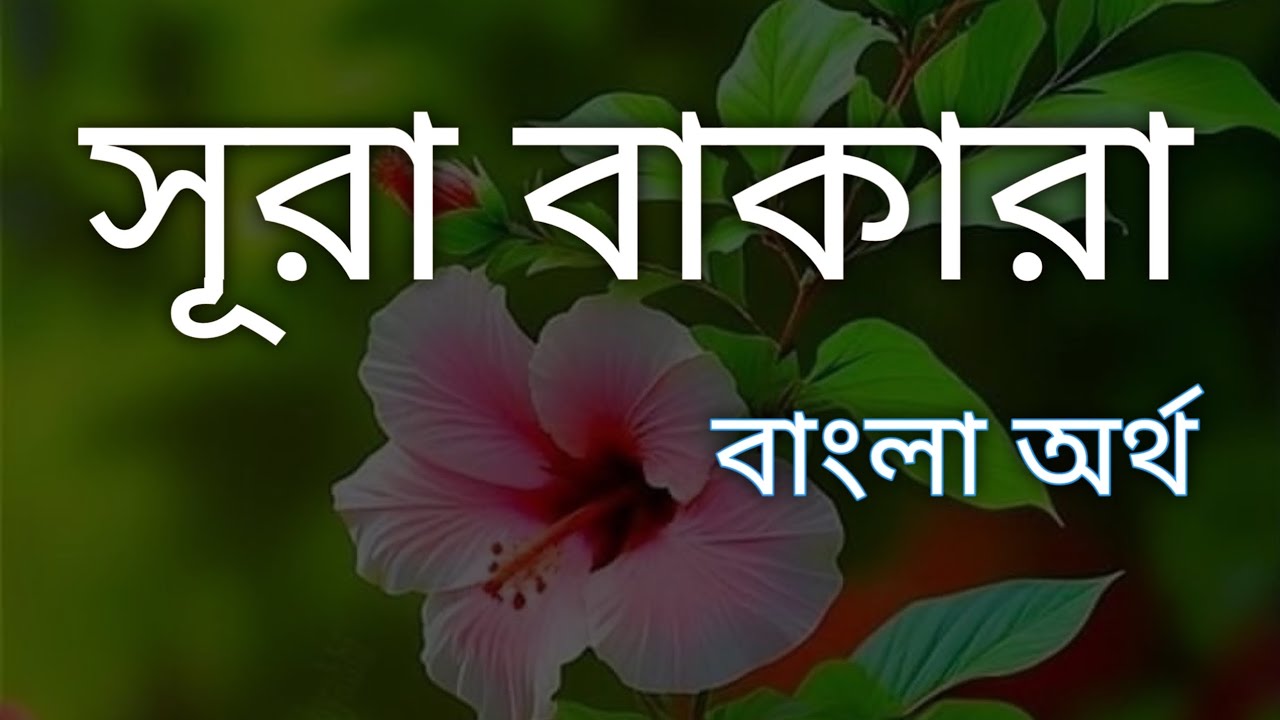 সূরা আল বাকারা বাংলা অর্থ।