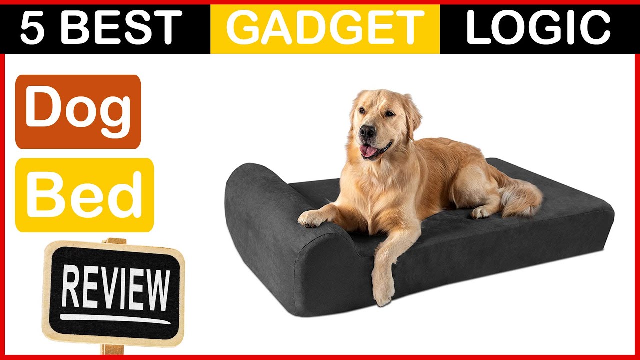✅ Best Dog Bed Amazon in 2023 🍳 Top 5 Tested [Buying Guide]