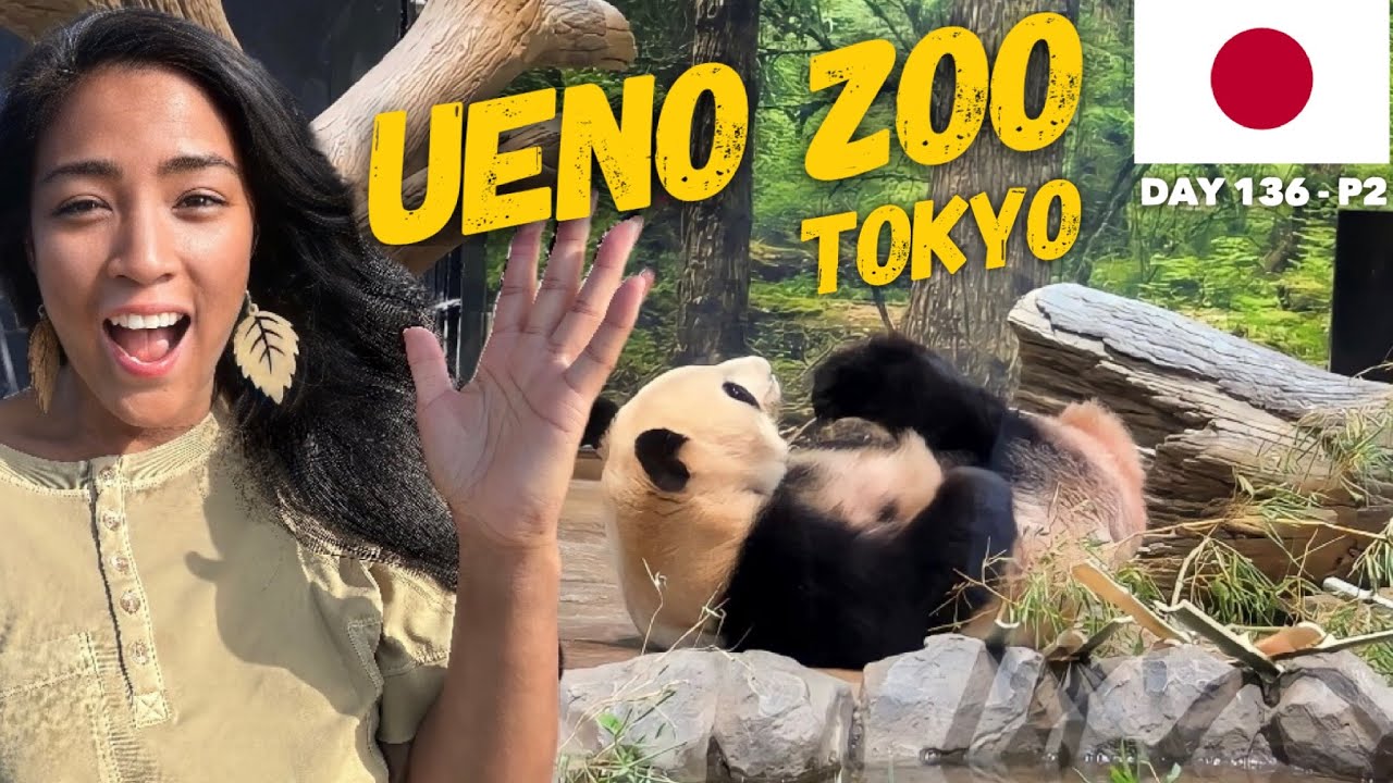 Pandas at Ueno Zoo | Tokyo  | Japan - Day 136, Part 2