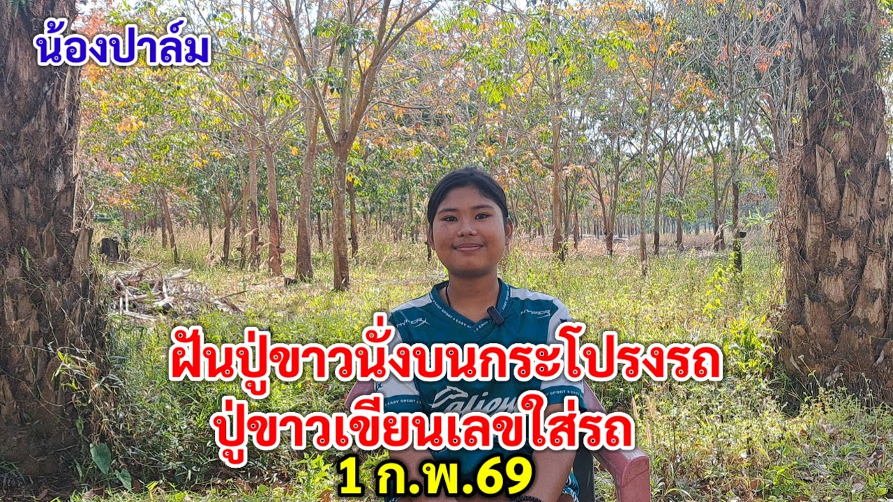 น้องปาล์ม ฝันปู่ขาวนั่งบนกระโปรงรถ ปู่ขาวเขียนเลขใส่รถ 1 ก.พ.69